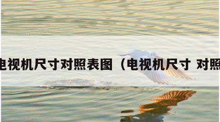 电视机尺寸对照表图（电视机尺寸 对照）