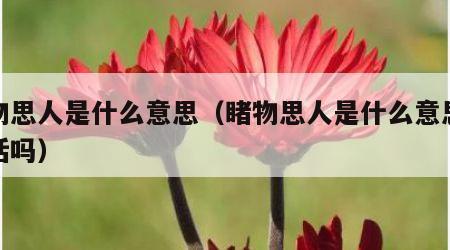 睹物思人是什么意思（睹物思人是什么意思是好话吗）