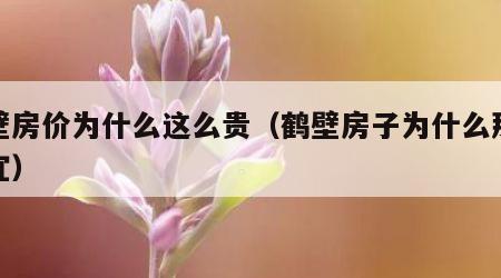 鹤壁房价为什么这么贵（鹤壁房子为什么那么便宜）