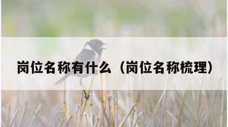 岗位名称有什么（岗位名称梳理）