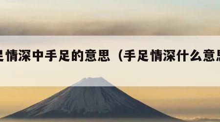 手足情深中手足的意思（手足情深什么意思解释）