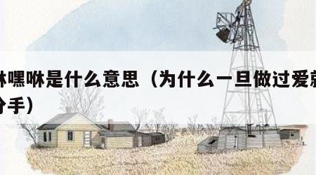 嘿咻嘿咻是什么意思（为什么一旦做过爱就很难分手）