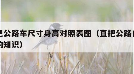 直把公路车尺寸身高对照表图（直把公路自行车的知识）