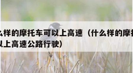 什么样的摩托车可以上高速（什么样的摩托车可以上高速公路行驶）