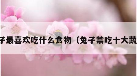 兔子最喜欢吃什么食物（兔子禁吃十大蔬菜）