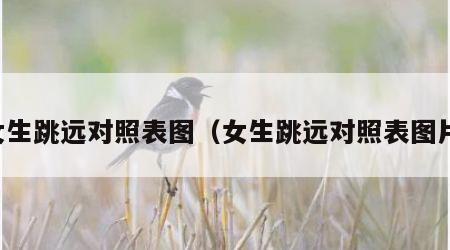 女生跳远对照表图（女生跳远对照表图片）