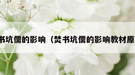 焚书坑儒的影响（焚书坑儒的影响教材原话）