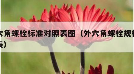 外六角螺栓标准对照表图（外六角螺栓规格型号表）