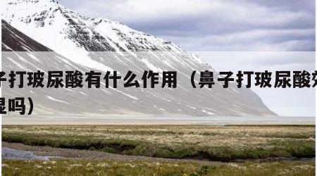鼻子打玻尿酸有什么作用（鼻子打玻尿酸效果明显吗）