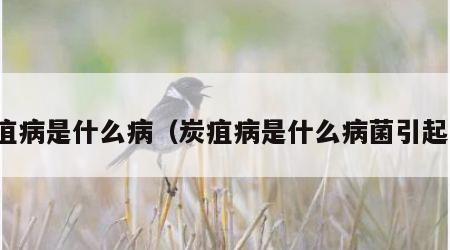 炭疽病是什么病（炭疽病是什么病菌引起的）