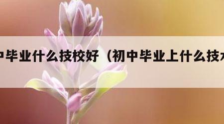 初中毕业什么技校好（初中毕业上什么技术学校）