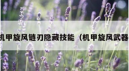 机甲旋风链刃隐藏技能（机甲旋风武器）
