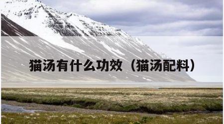 猫汤有什么功效（猫汤配料）