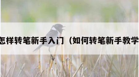 怎样转笔新手入门（如何转笔新手教学）