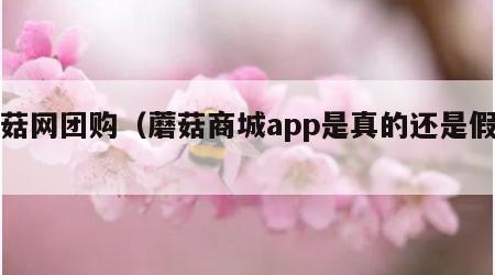 蘑菇网团购（蘑菇商城app是真的还是假的）