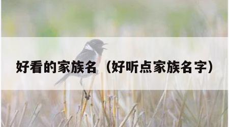 好看的家族名（好听点家族名字）