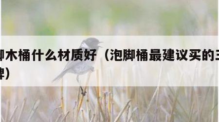 泡脚木桶什么材质好（泡脚桶最建议买的三个品牌）