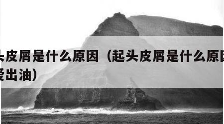 起头皮屑是什么原因（起头皮屑是什么原因头发爱出油）