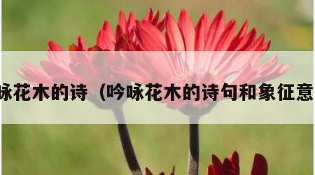 吟咏花木的诗（吟咏花木的诗句和象征意义）