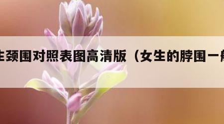 女生颈围对照表图高清版（女生的脖围一般多少）
