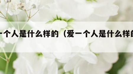 爱一个人是什么样的（爱一个人是什么样的感情）