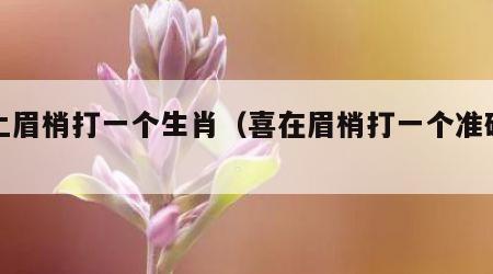 喜上眉梢打一个生肖（喜在眉梢打一个准确生肖）