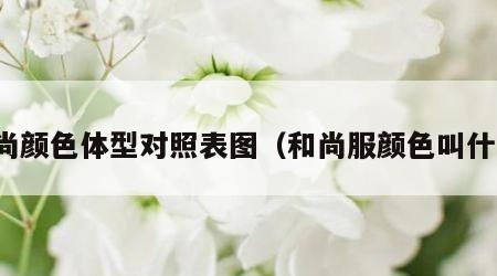 和尚颜色体型对照表图（和尚服颜色叫什么）
