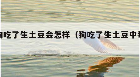 狗狗吃了生土豆会怎样（狗吃了生土豆中毒症状）