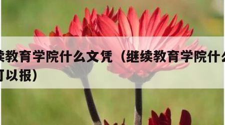 继续教育学院什么文凭（继续教育学院什么文凭可以报）