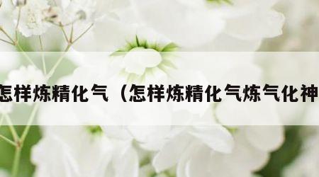怎样炼精化气（怎样炼精化气炼气化神）