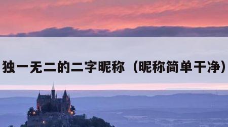 独一无二的二字昵称（昵称简单干净）