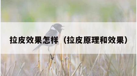 拉皮效果怎样（拉皮原理和效果）