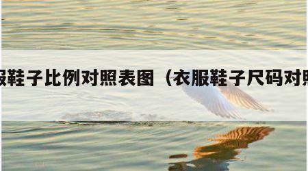 衣服鞋子比例对照表图（衣服鞋子尺码对照表）