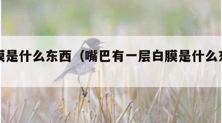 白膜是什么东西（嘴巴有一层白膜是什么东西）