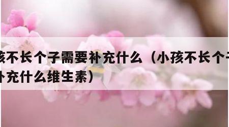 小孩不长个子需要补充什么（小孩不长个子需要补充什么维生素）