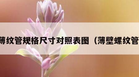 薄纹管规格尺寸对照表图（薄壁螺纹管）