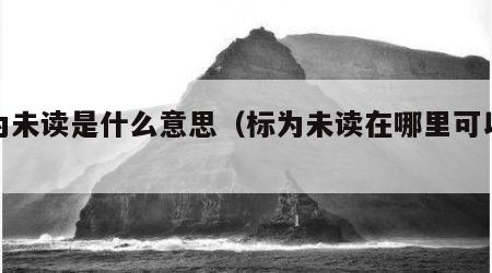 标为未读是什么意思（标为未读在哪里可以找到）