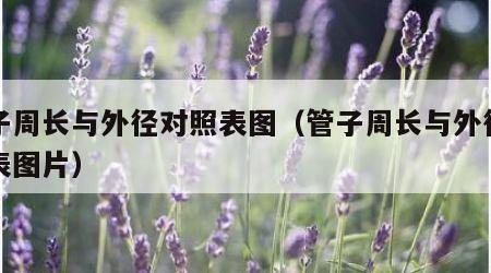 管子周长与外径对照表图（管子周长与外径对照表图片）