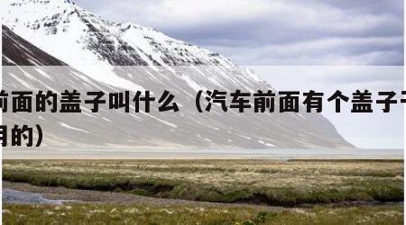 车前面的盖子叫什么（汽车前面有个盖子干什么用的）