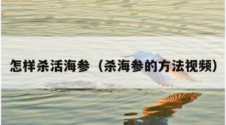 怎样杀活海参（杀海参的方法视频）