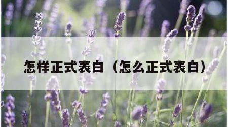 怎样正式表白（怎么正式表白）