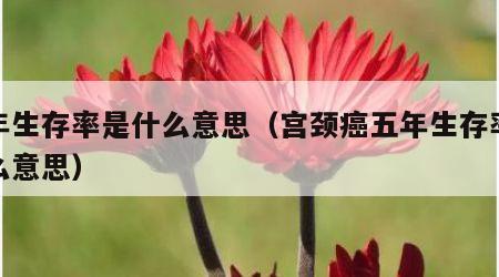 五年生存率是什么意思（宫颈癌五年生存率是什么意思）