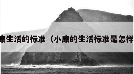 小康生活的标准（小康的生活标准是怎样的）