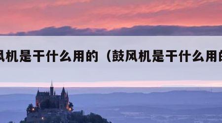 鼓风机是干什么用的（鼓风机是干什么用的视频）