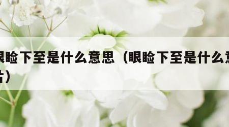 下眼睑下至是什么意思（眼睑下至是什么意思图片）
