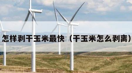 怎样剥干玉米最快（干玉米怎么剥离）