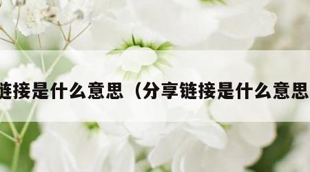 链接是什么意思（分享链接是什么意思）