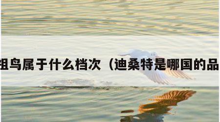 始祖鸟属于什么档次（迪桑特是哪国的品牌）