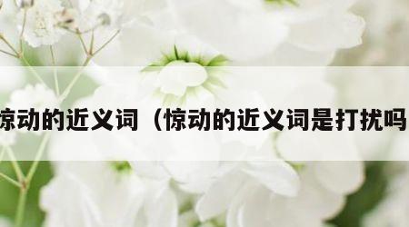 惊动的近义词（惊动的近义词是打扰吗）