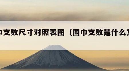 围巾支数尺寸对照表图（围巾支数是什么意思）